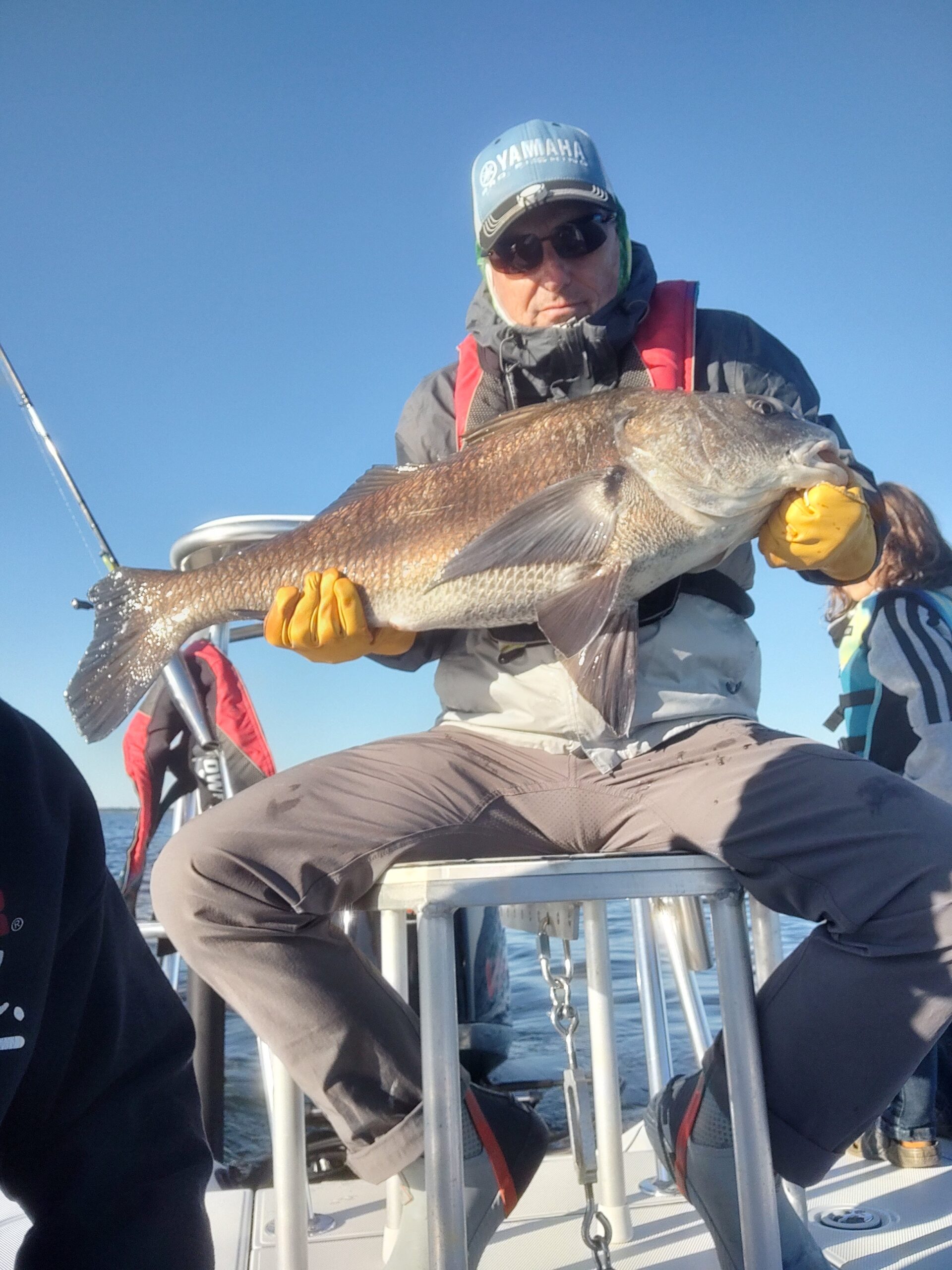 pensacola big black drum