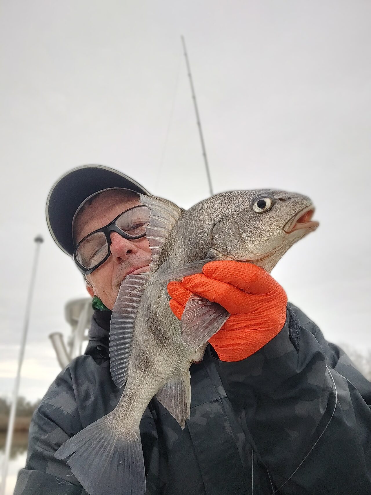pensacola small black drum