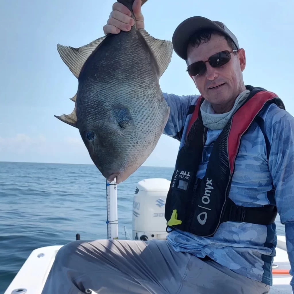 pensacola trigerfish ped