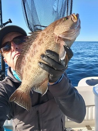 pensacola scamp grouper 3