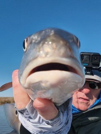 DFC2509-21