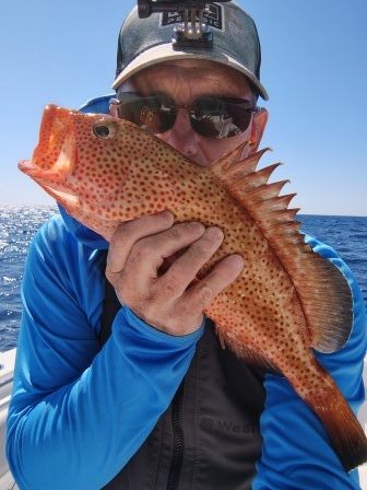 pensacola hind grouper 1