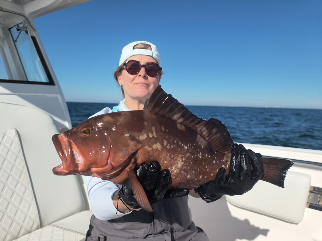 pensacola red grouper 2