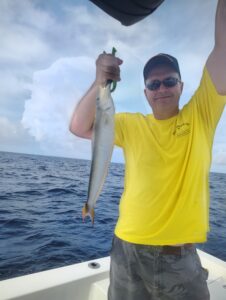 sand tilefish 2 sand tilefish 2